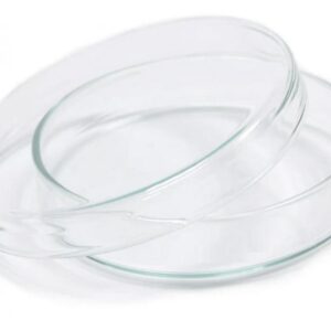 Petri dish 4" English Glass
